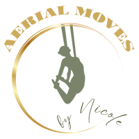 Logo Aerial Moves