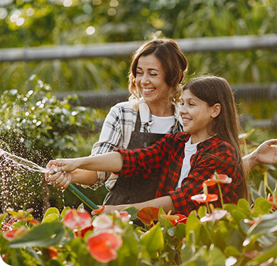 How To Plant Your Favorite Tree In The Best Pot