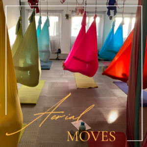 Aerial Moves Studio